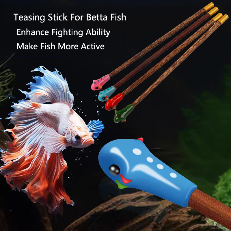Aquarium Fish For Beginners - Aquarium Betta Training Zauberstab Holz Spielstab