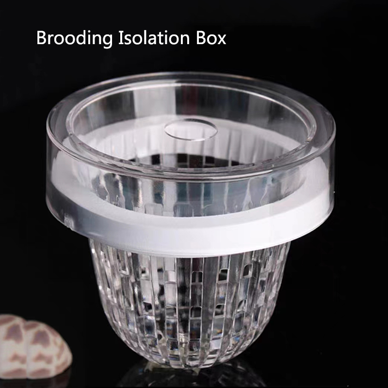 Aquarium Fish Feeder - Acryl schwimmende Fischzucht Isolation Box Aquarium