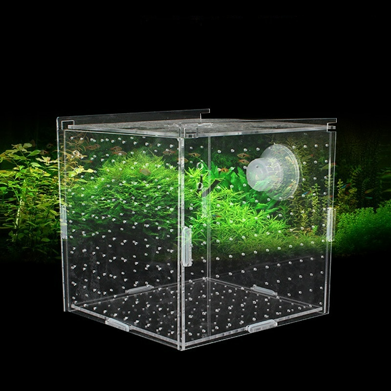 Aquarium Fish Net Small - Acryl Isolation Box Aquarium Transparent Aquarium