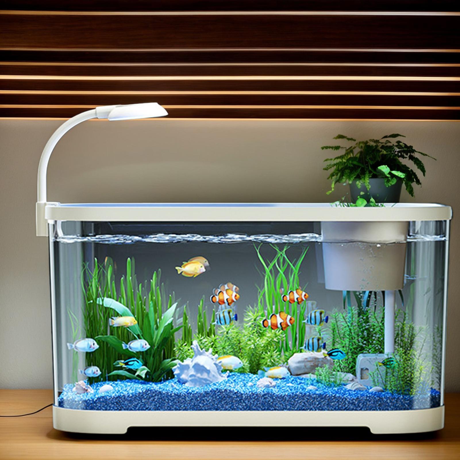 Aquarium Fish For Beginners - Aquarium-Set, Starter, Betta-Aquarium für Anfänger, leise,