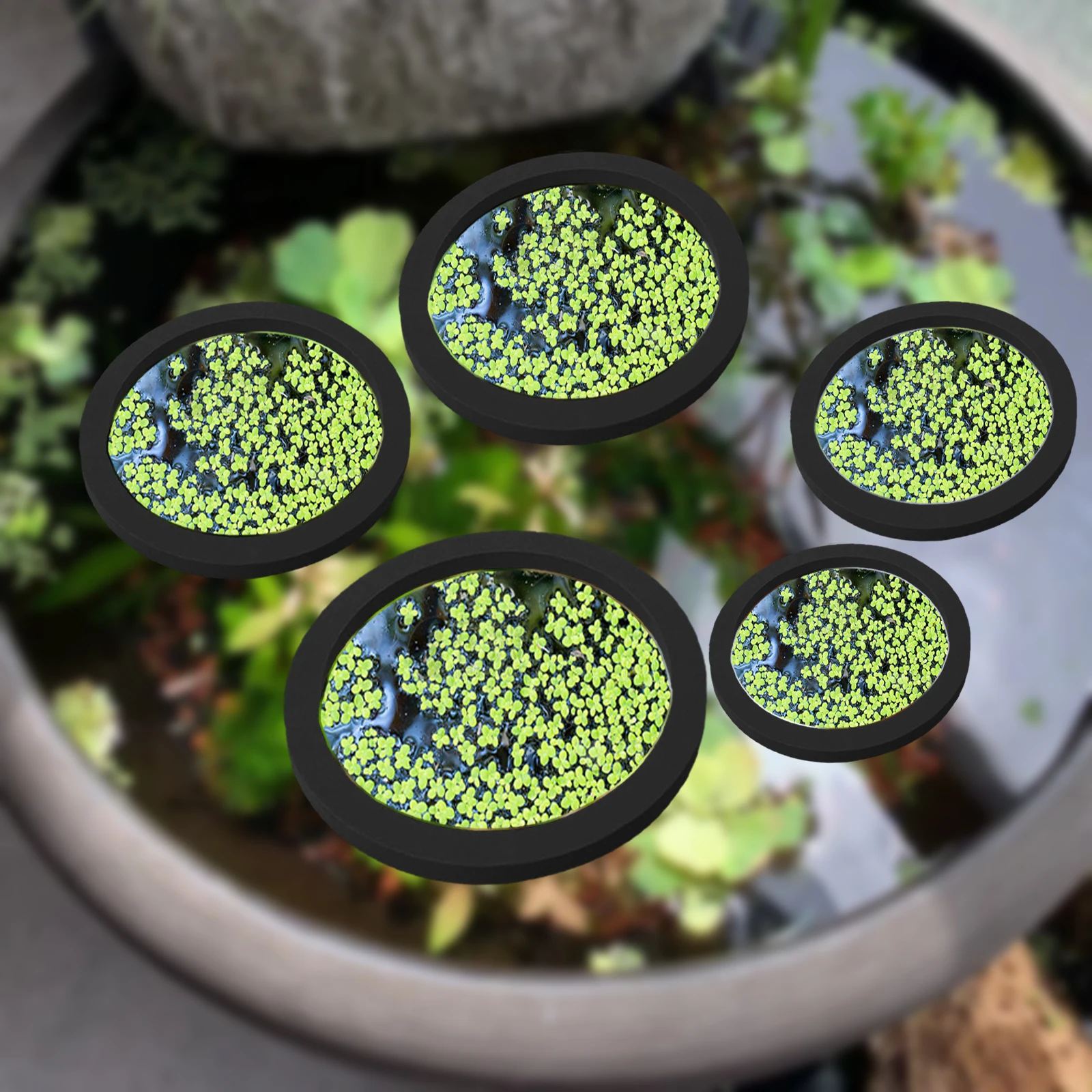 Aquarium Fish To Buy - 5Pcs EVA Fisch Fütterung Ring Aquarium