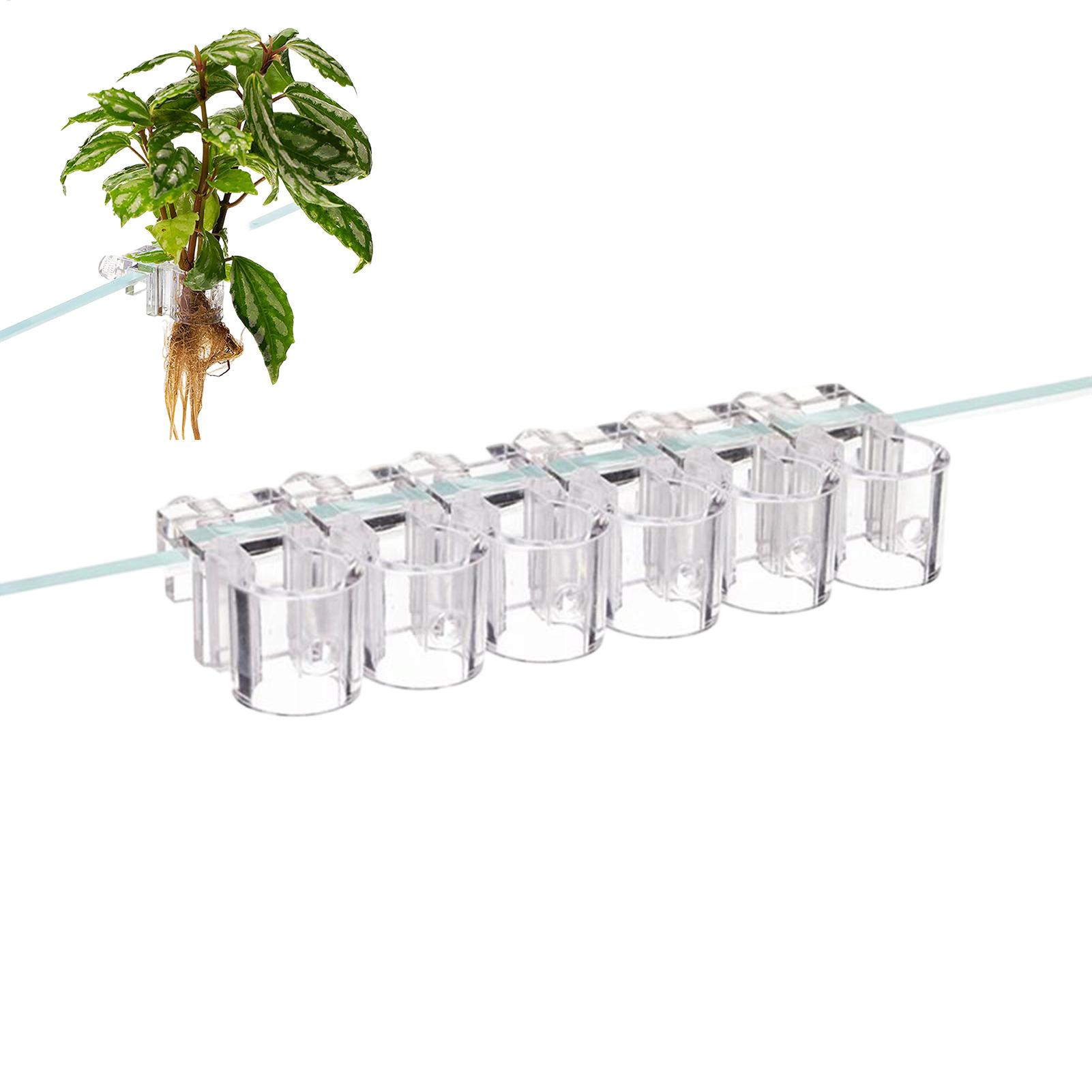 Aquarium Fish Feeder - Mini-Aquarium-Pflanzgefäß, 6 Stück, Aquarium-Pflanzenhalter, Stützbecher, Aquarium-Futterspender