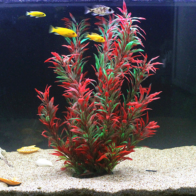 Aquarium Fish To Buy - 50CM Künstliche Aquarium Seltene Pflanzen Aquarium