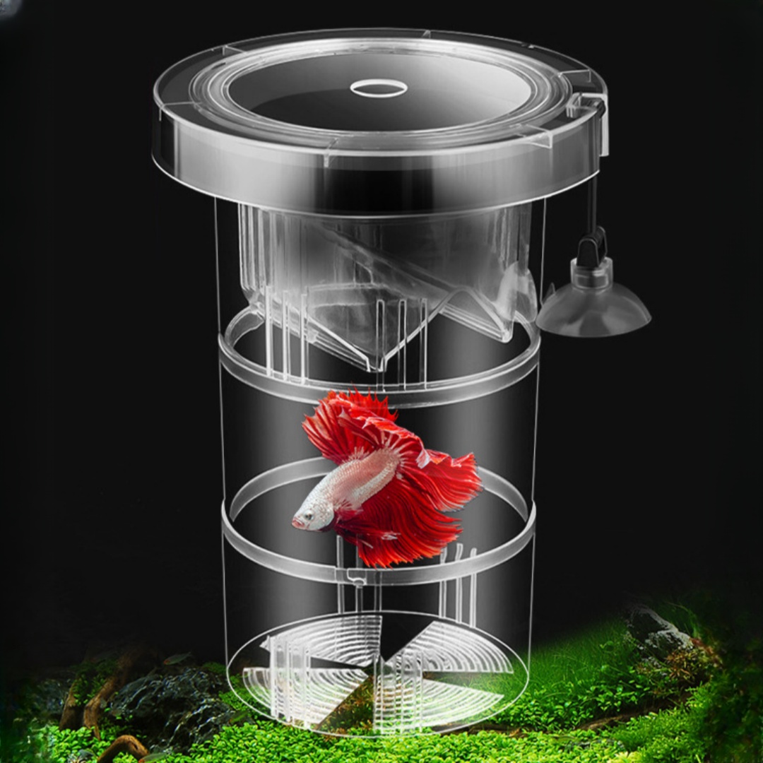 Aquarium Fish Feeder - Acryl Schwimmende Fische Zucht Isolation Box