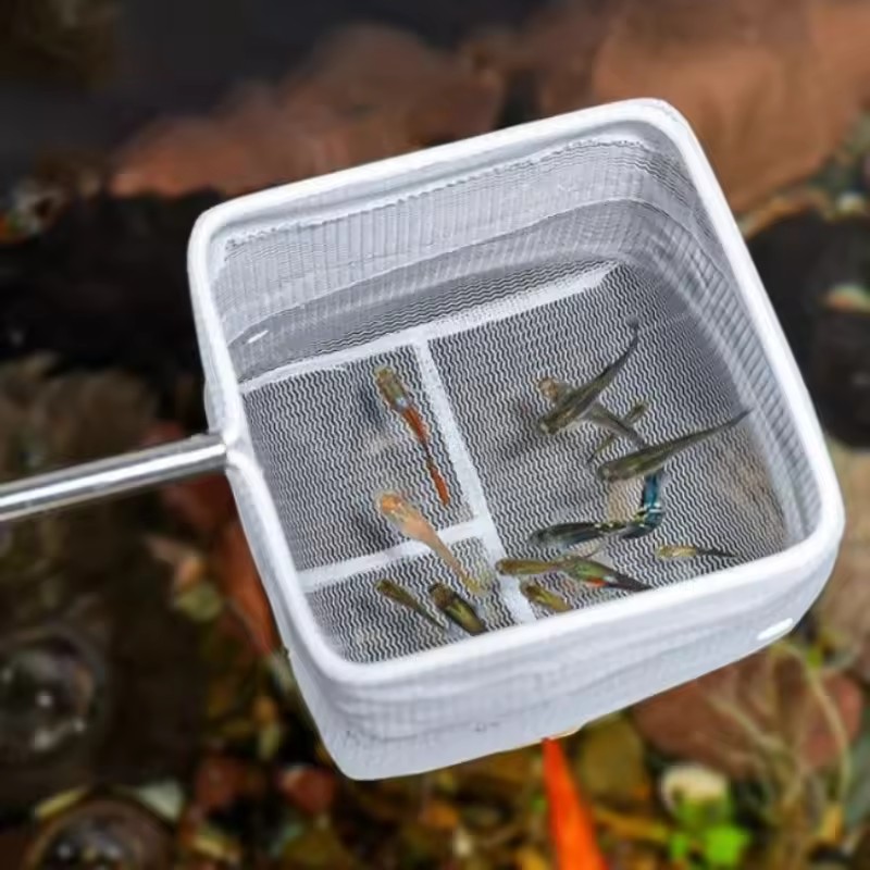 Aquarium-Reinigungswerkzeuge A – Aquarium Fish Net Small Bewertung und Preis