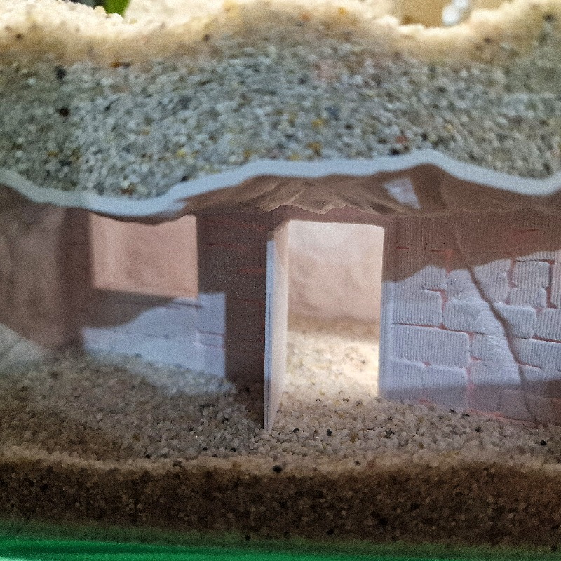 3D-Gedruckte Geheimhöhle für F – Aquarium Fish Hideout Bewertung und Preis