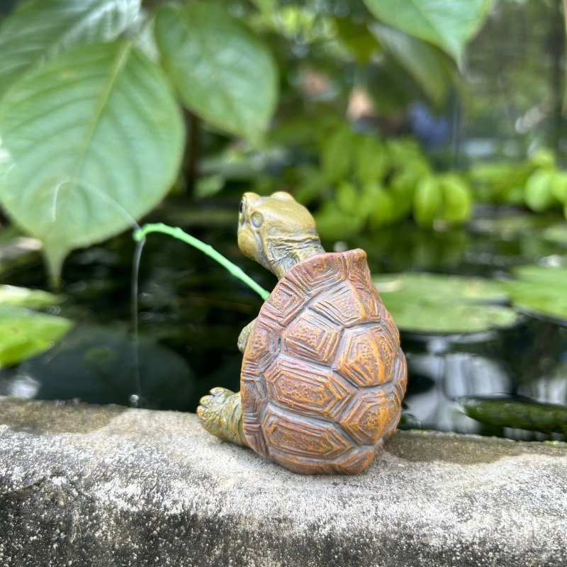 Schildkröte Angeln Aquarium Aq – Aquarium Fish To Buy Bewertung und Preis