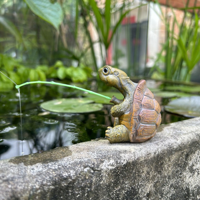 Schildkröte Angeln Aquarium Aq – Aquarium Fish To Buy Bewertung und Preis