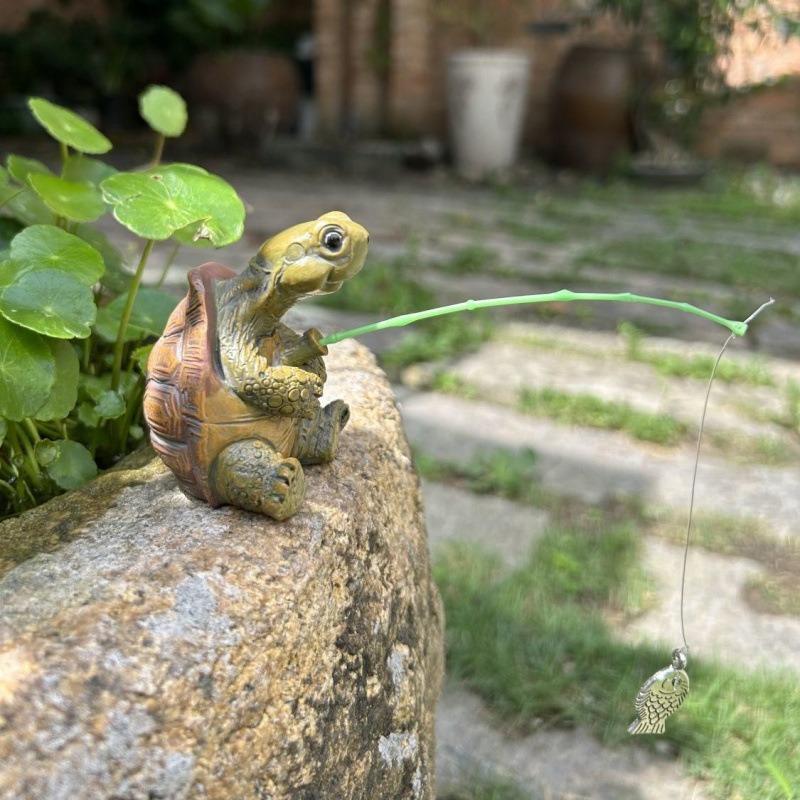 Schildkröte Angeln Aquarium Aq – Aquarium Fish To Buy Bewertung und Preis