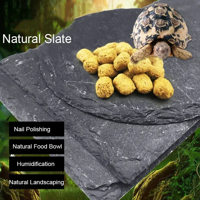 Natürliche Schiefer Aquarium H – Aquarium Fish Feeder Bewertung und Preis