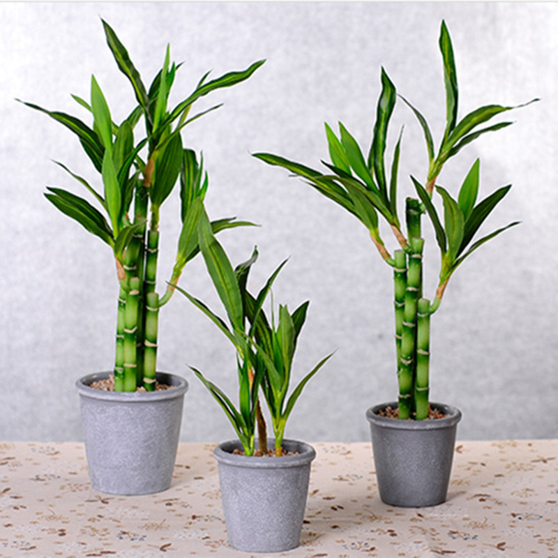 Neue 40 cm rFtificial Lucky Ba – Aquarium Fish To Buy Bewertung und Preis