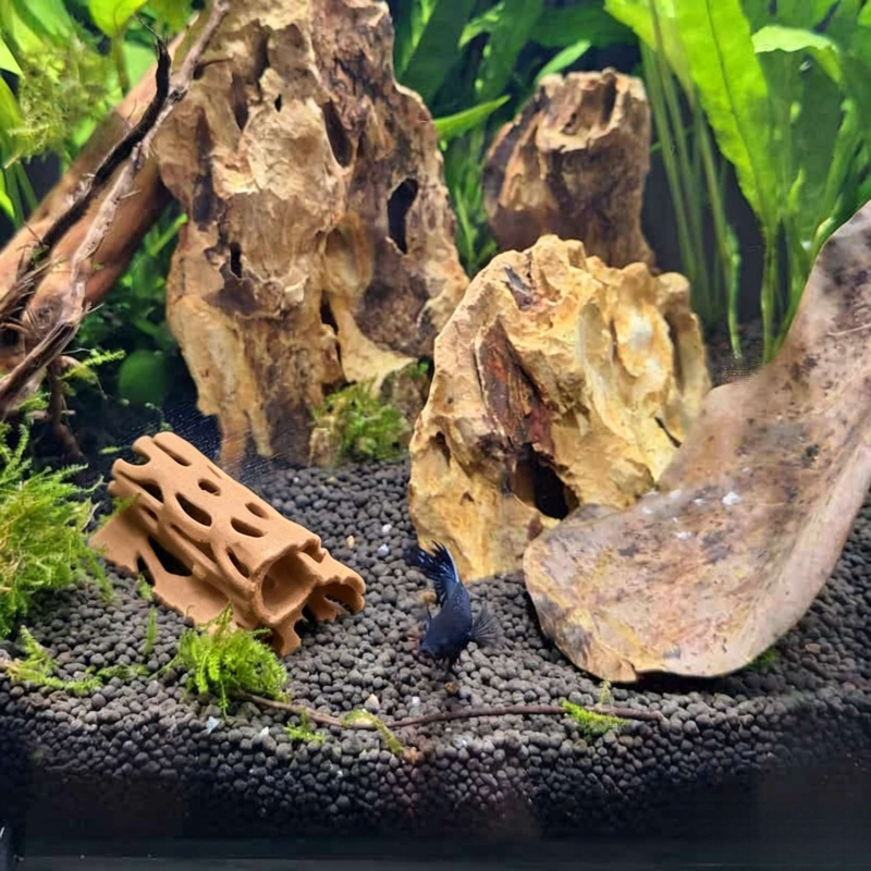 Aquarium Hohle Versteckhöhle F – Aquarium Fish Hideout Bewertung und Preis