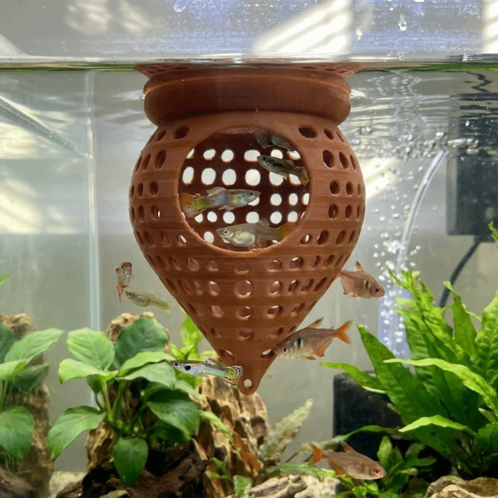 3D-Gedruckte Schwimmende Fisch – Aquarium Fish Hideout Bewertung und Preis