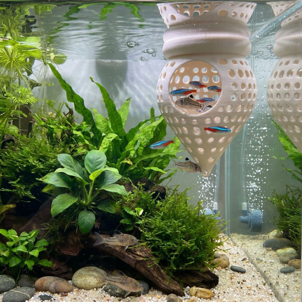 3D-Gedruckte Schwimmende Fisch – Aquarium Fish Hideout Bewertung und Preis