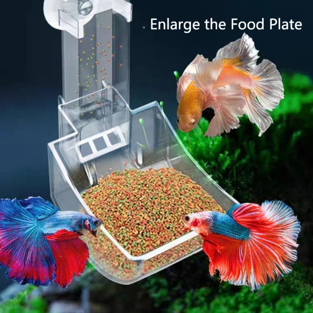 Neue Transparente Aquarium Fis – Aquarium Fish Feeder Bewertung und Preis