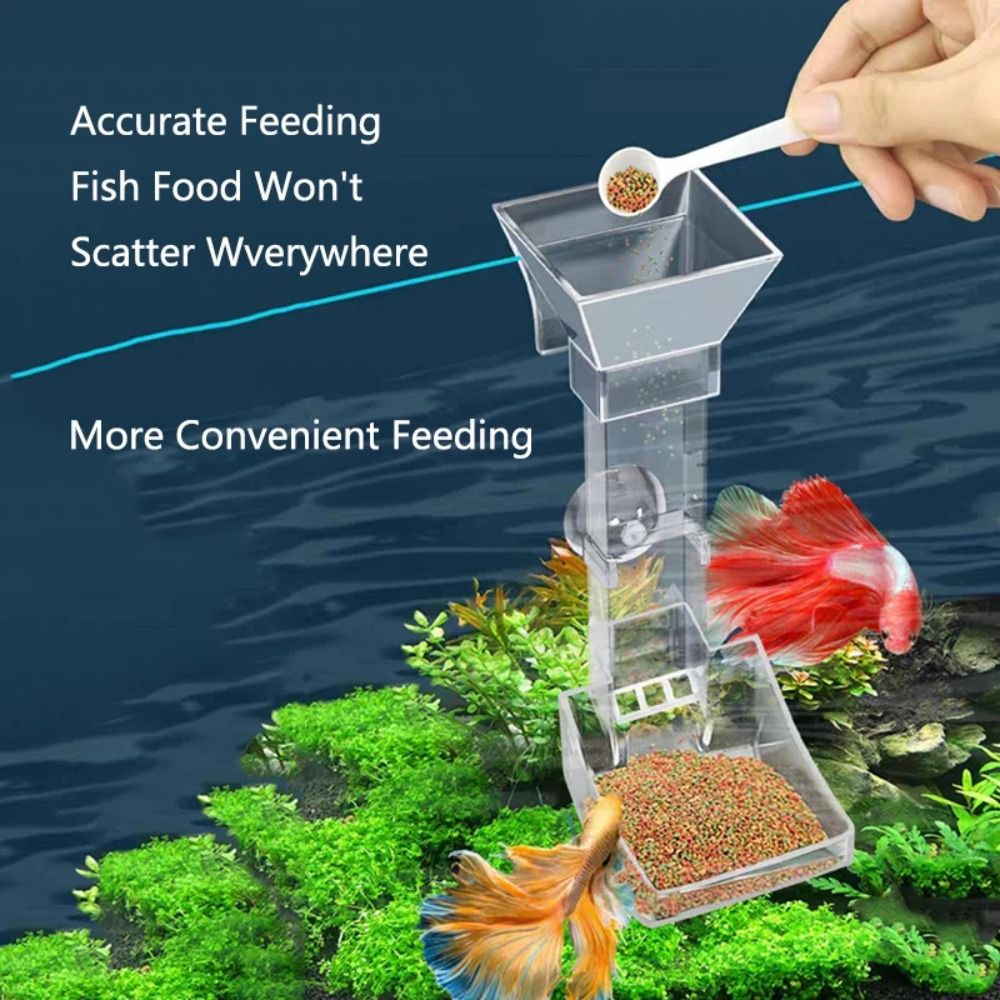 Neue Transparente Aquarium Fis – Aquarium Fish Feeder Bewertung und Preis
