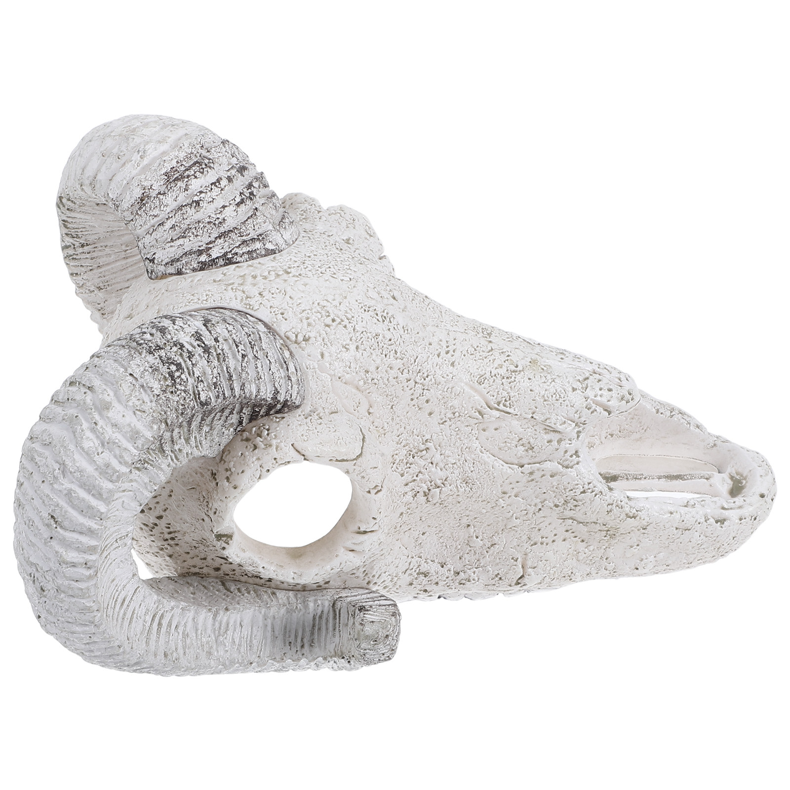 Realistisches Bullenschädel-Ve – Aquarium Fish Hideout Bewertung und Preis