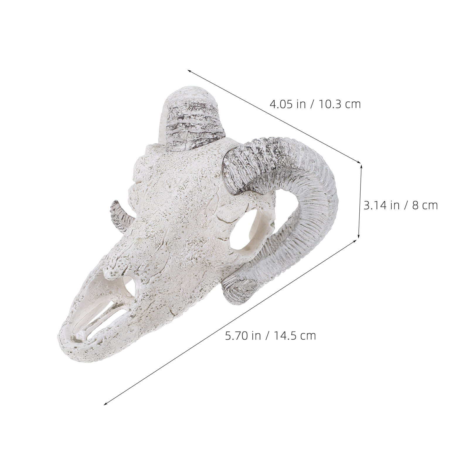 Realistisches Bullenschädel-Ve – Aquarium Fish Hideout Bewertung und Preis