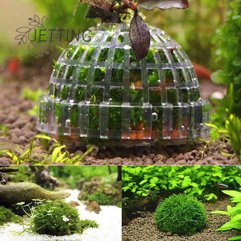 1pc Kunststoff Aquarium Moos B – Aquarium Fish Ball Bewertung und Preis