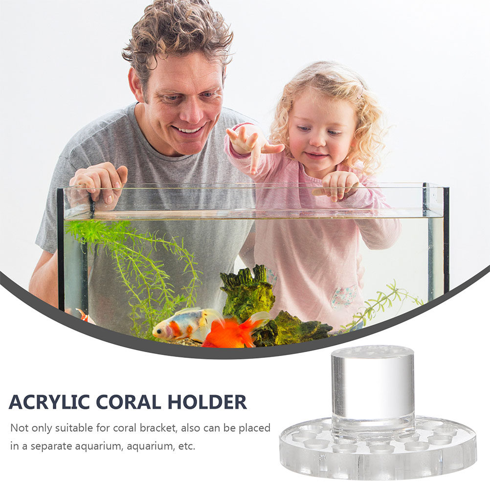 10 Stück Acryl-Korallenhalteru – Aquarium Fish To Buy Bewertung und Preis