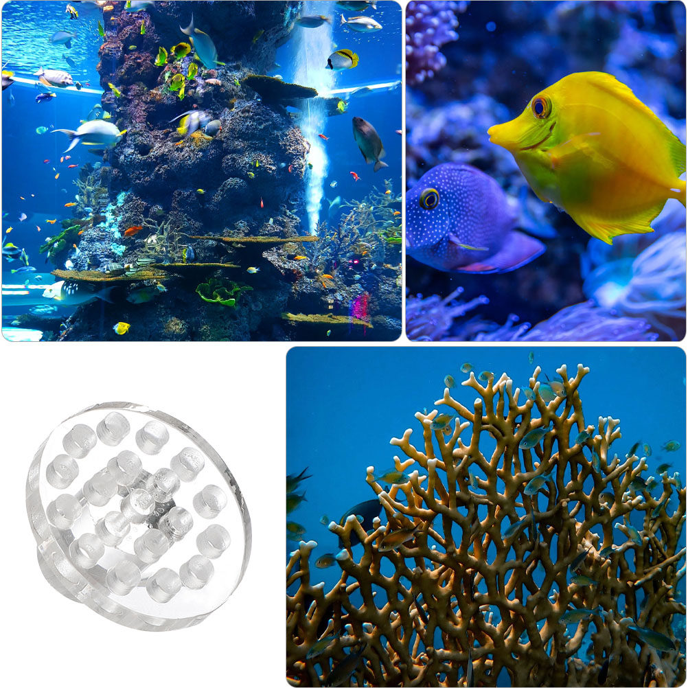 10 Stück Acryl-Korallenhalteru – Aquarium Fish To Buy Bewertung und Preis
