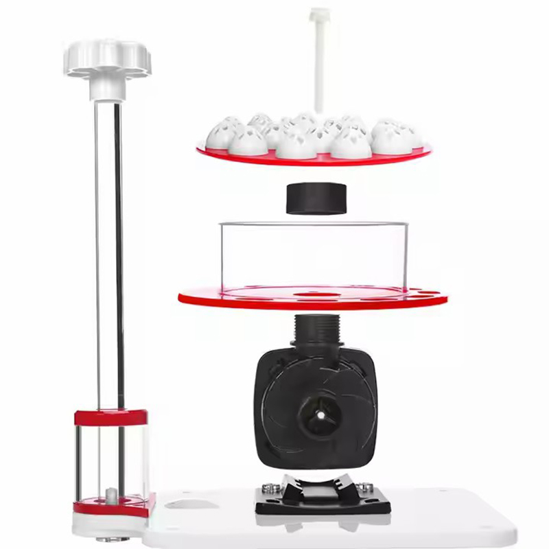 110-240V Roter Seestern-Aquari – Protein Skimmer Reef Bewertung und Preis
