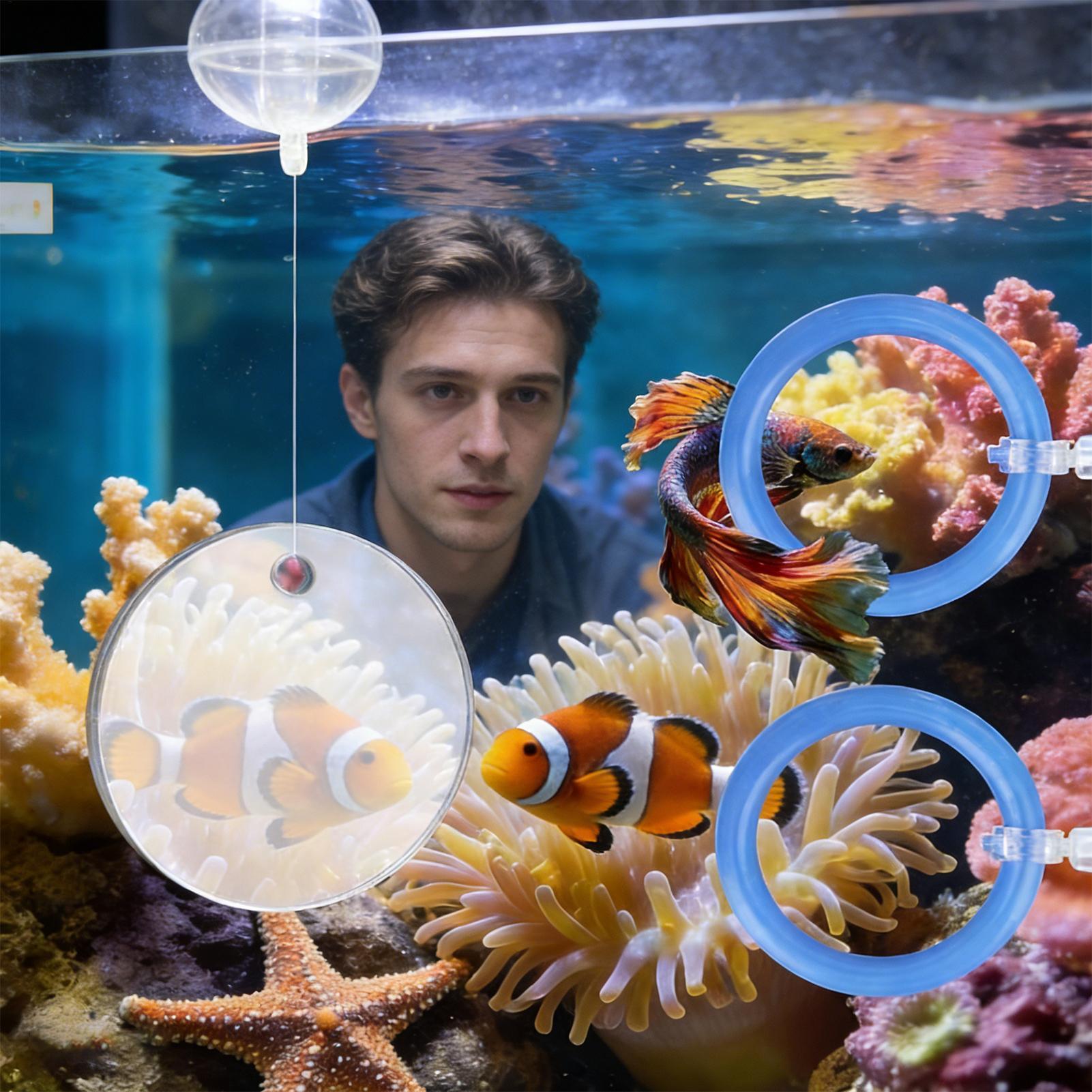 2 Stück schwimmende Futterring – Aquarium Fish Feeder Bewertung und Preis