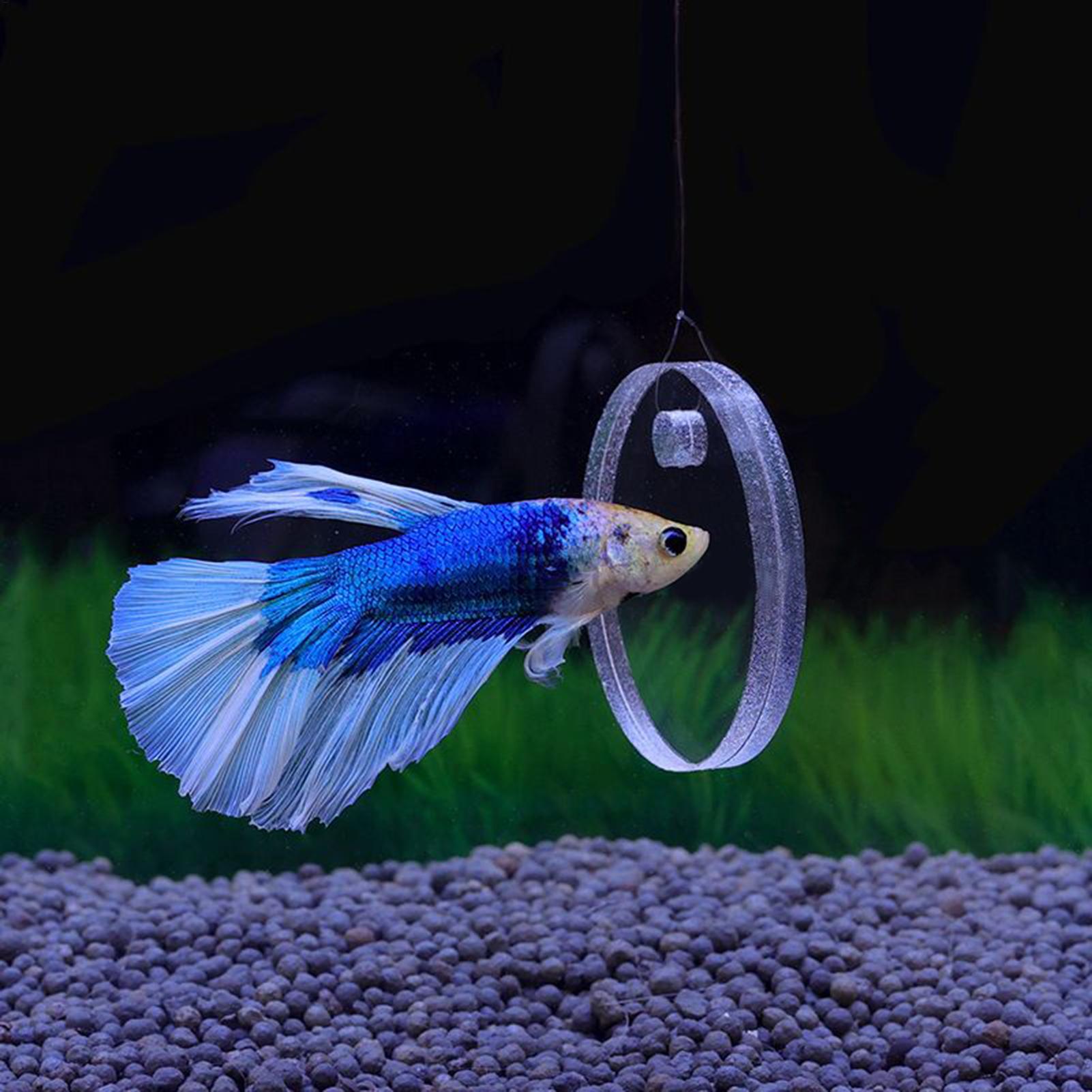 2 Stück schwimmende Futterring – Aquarium Fish Feeder Bewertung und Preis