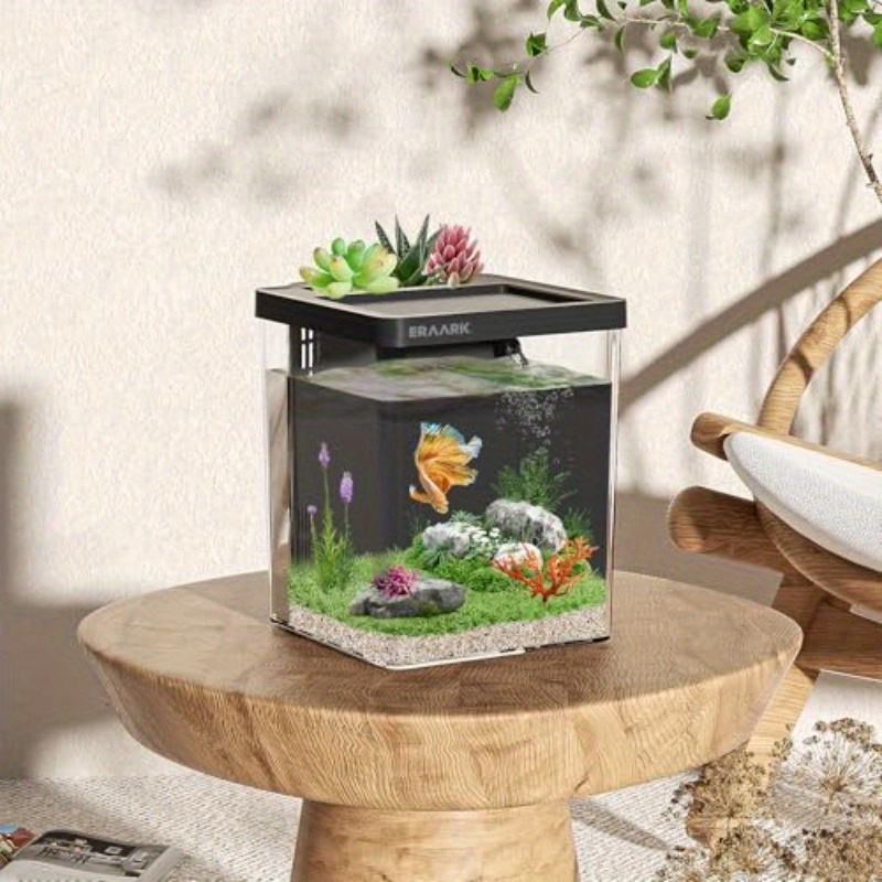Büro-/Heim-Tischaquarium mit F – Aquarium Fish For Beginners Bewertung und Preis