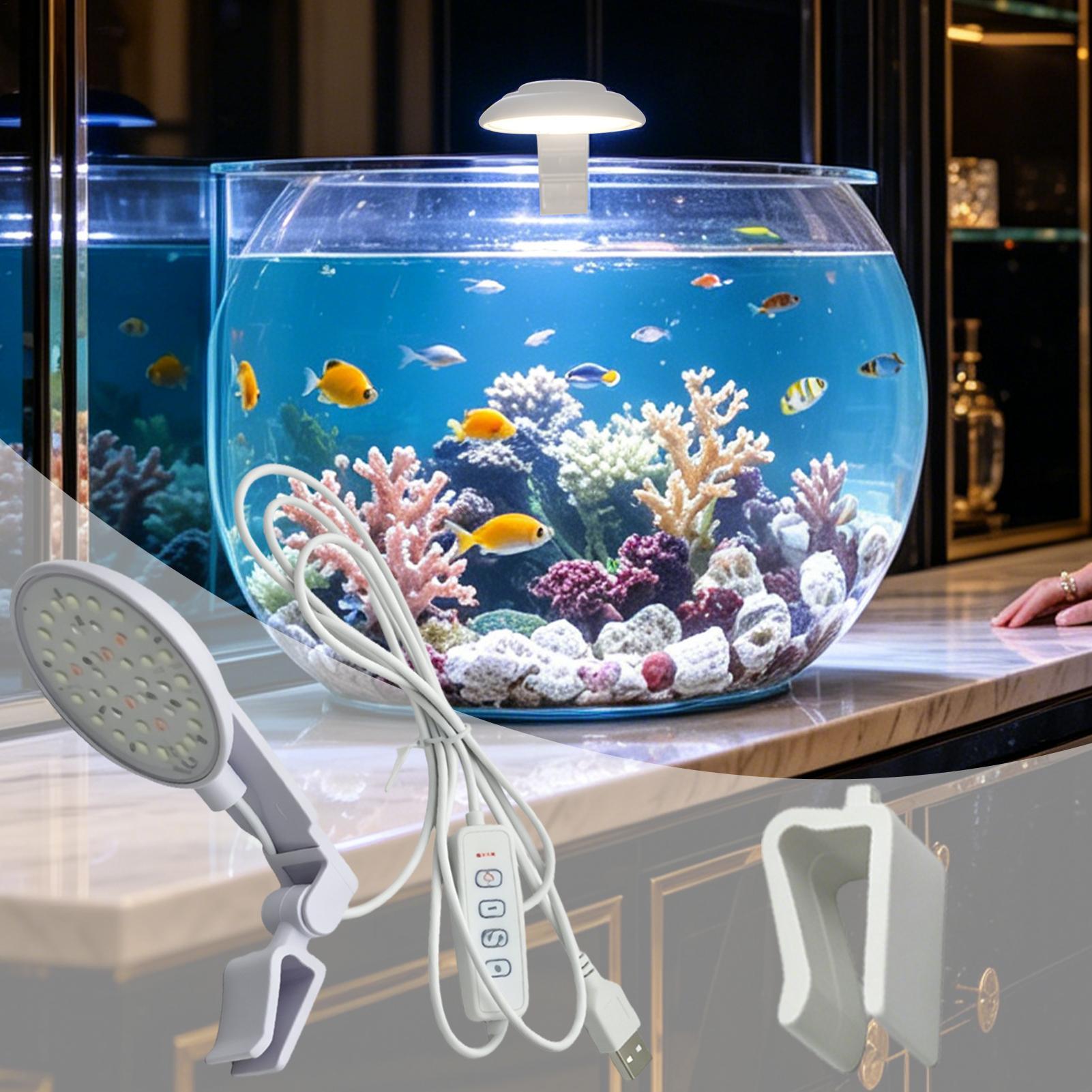 Aquarium-LED-Licht, wasserdich – Aquarium Fish For Beginners Bewertung und Preis