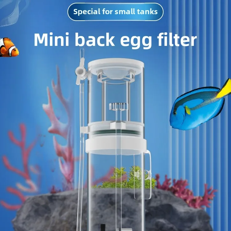 110V-240V Neuer Mini-Aquarium- – Protein Skimmer Reef Bewertung und Preis
