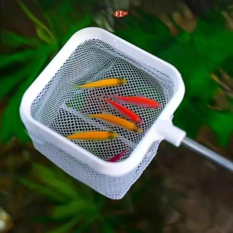 3D-Aquarium, kleine Fischschau – Aquarium Fish Net Small Bewertung und Preis