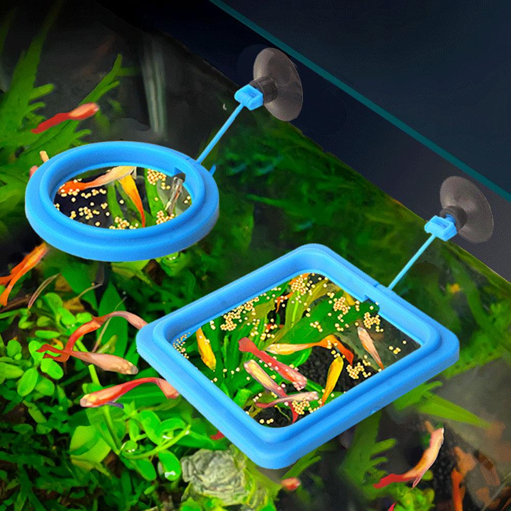 Aquarium Futterring Fischbecke – Aquarium Fish Feeder Bewertung und Preis