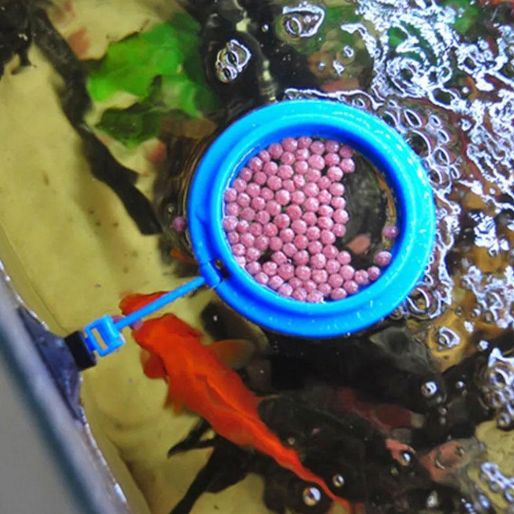 Aquarium Futterring Fischbecke – Aquarium Fish Feeder Bewertung und Preis
