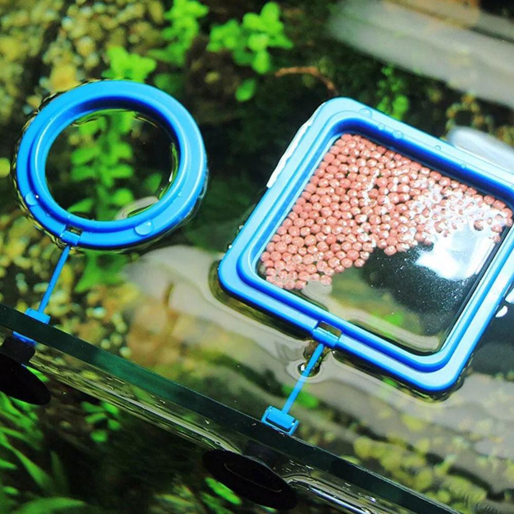 Aquarium Futterring Fischbecke – Aquarium Fish Feeder Bewertung und Preis