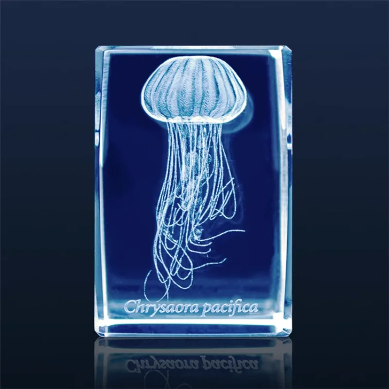 Japan Gashapon Quallen 3d Kris – Aquarium Fish Japan Bewertung und Preis