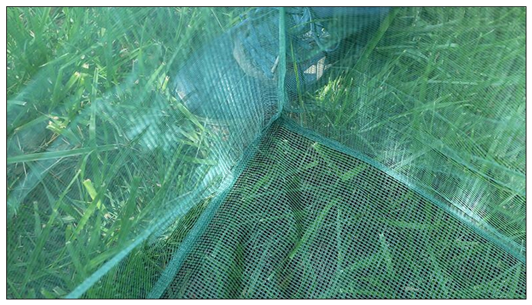 Angeln 3mm Pfahl Kleine Mesh F – Aquarium Fish Net Small Bewertung und Preis