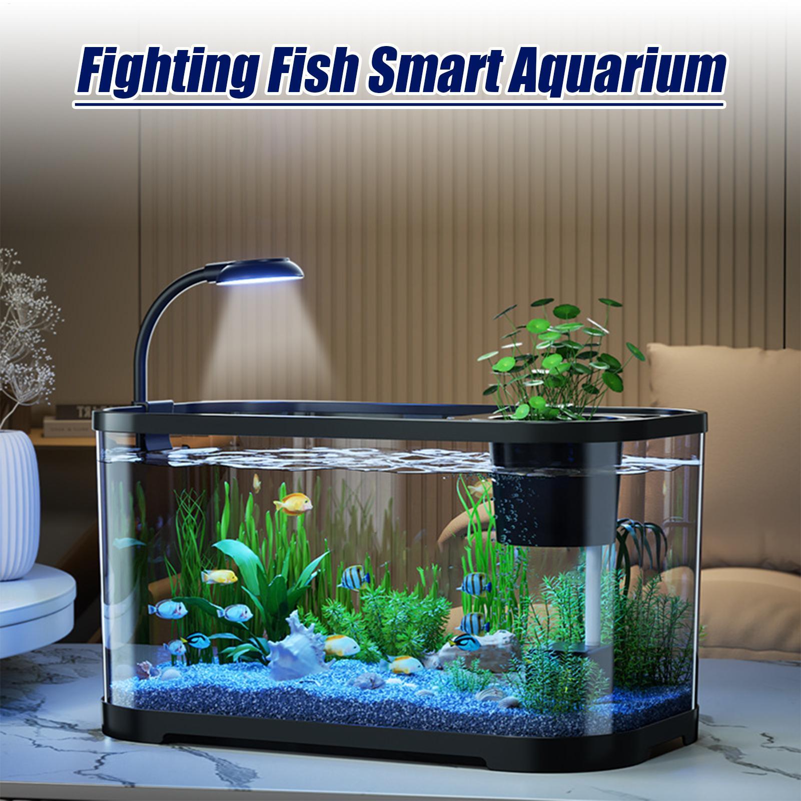 Aquarium-Set, Starter, Betta-A – Aquarium Fish For Beginners Bewertung und Preis