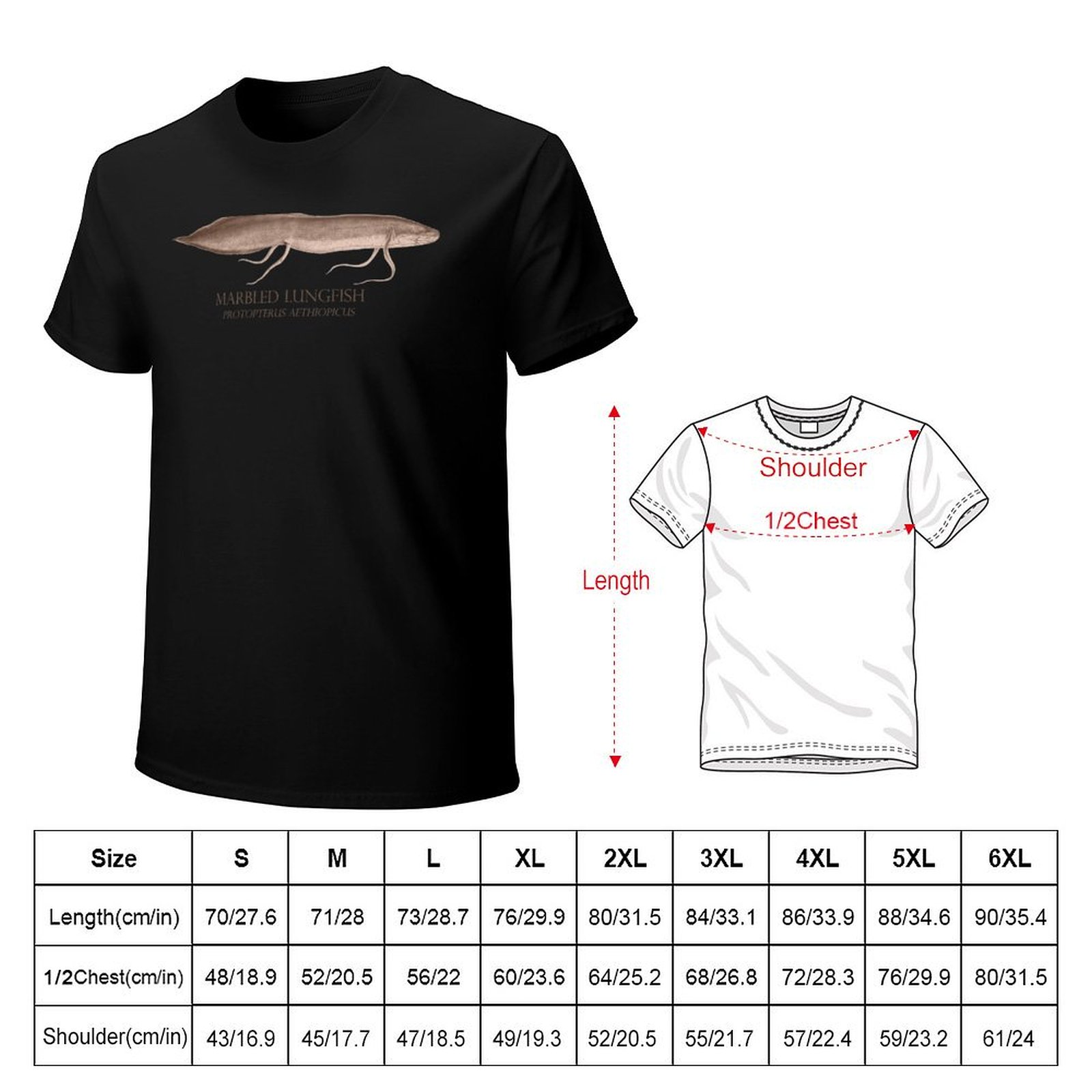 Lungfish Protopterus Aquarium  – Aquarium Fish Monster Bewertung und Preis