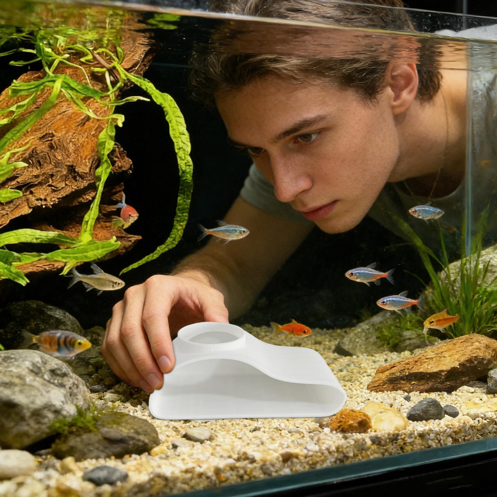 Aquarium-Untergrund-Tunnelhöhl – Aquarium Fish For Beginners Bewertung und Preis