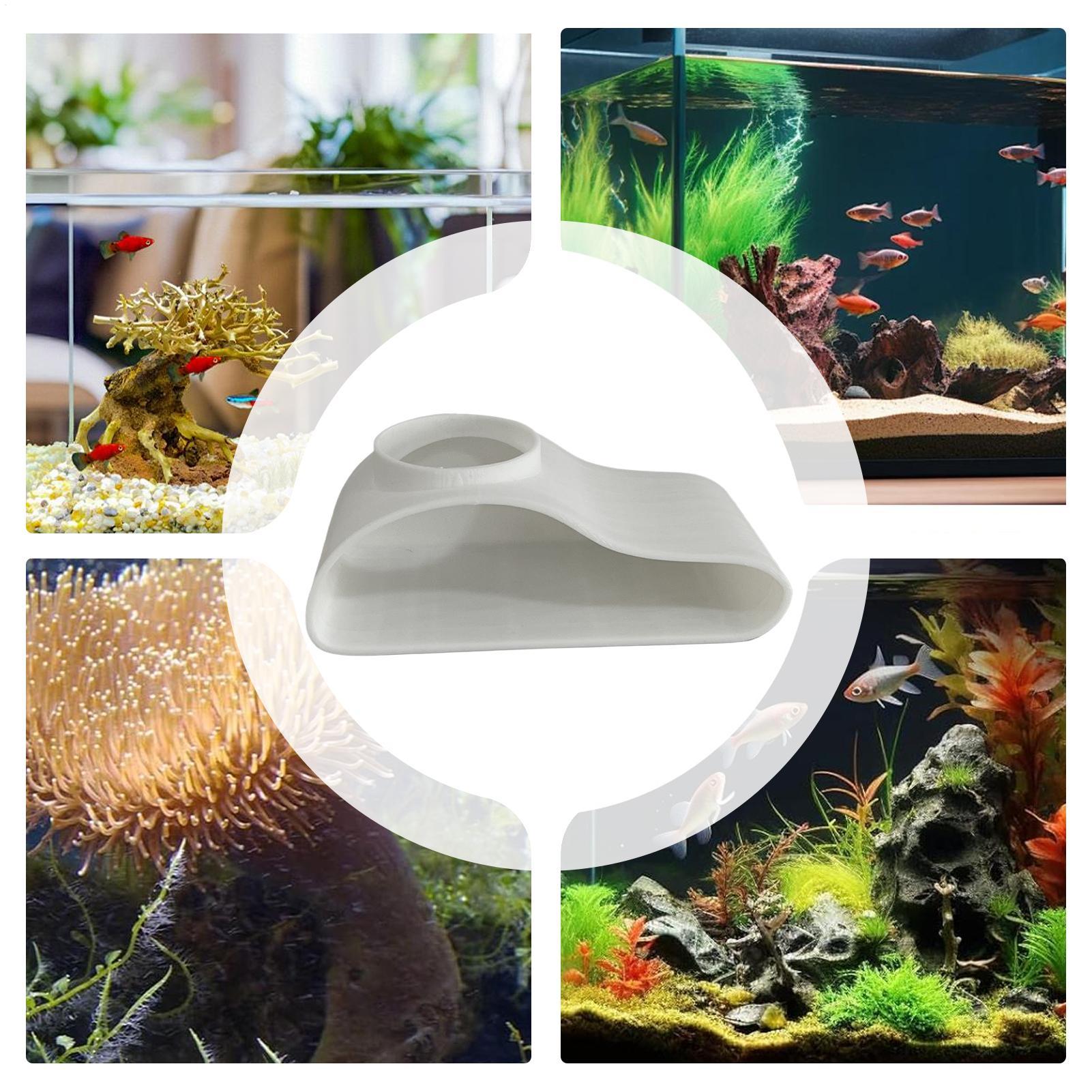 Aquarium-Untergrund-Tunnelhöhl – Aquarium Fish For Beginners Bewertung und Preis