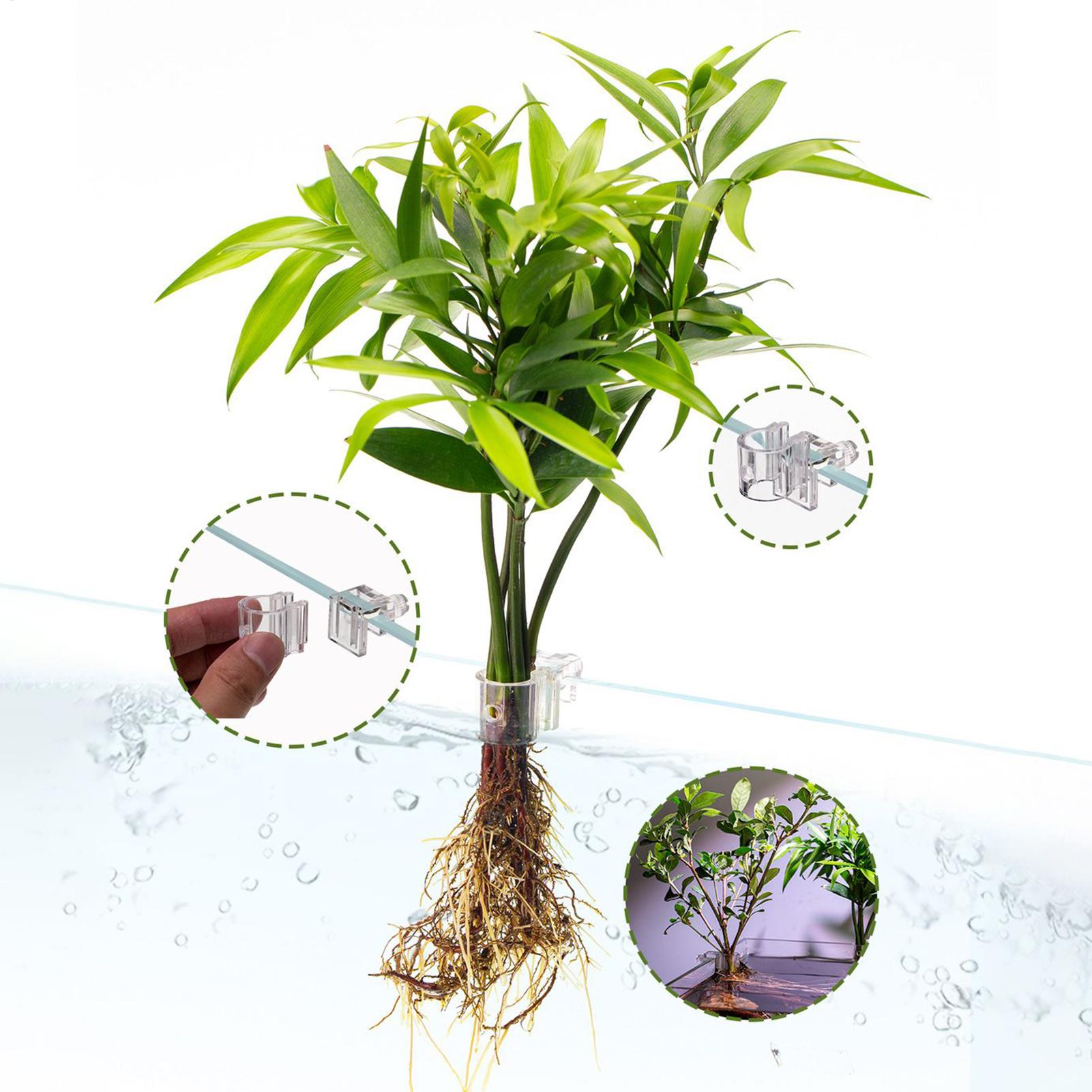Mini-Aquarium-Pflanzgefäß, 6 S – Aquarium Fish Feeder Bewertung und Preis
