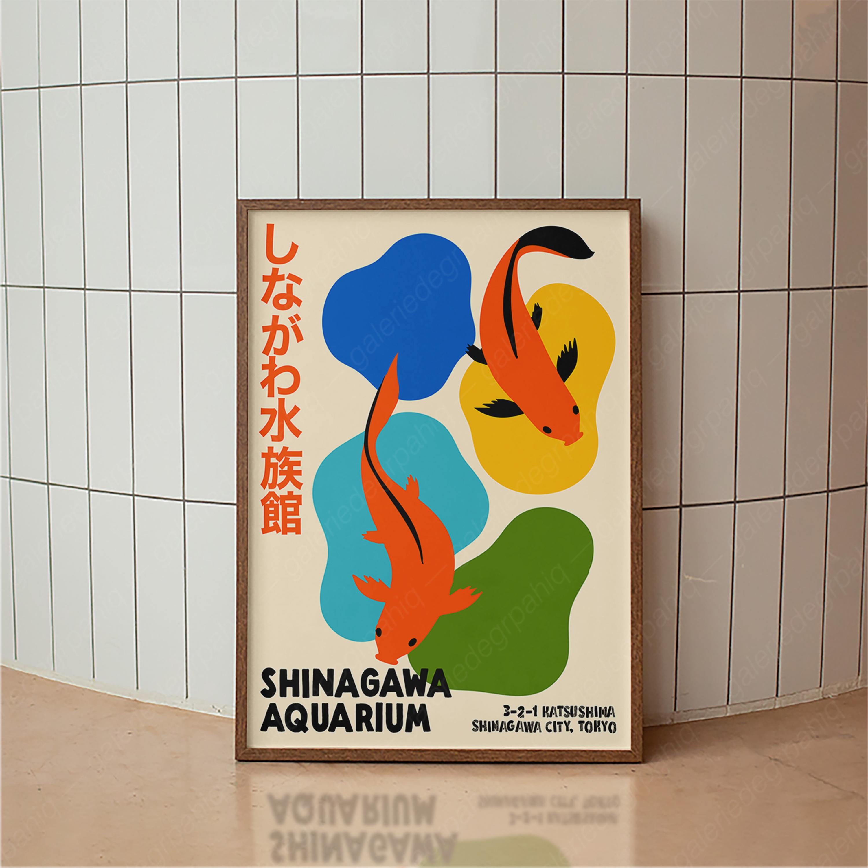 Japanisches Aquarium-Koi-Fisch – Aquarium Fish Japan Bewertung und Preis