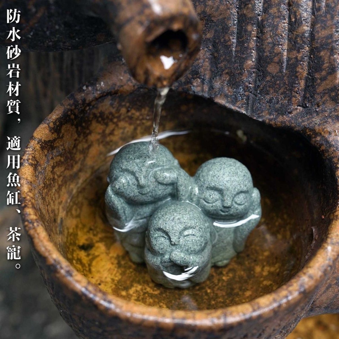 Niedliche japanische Mönch Kyo – Aquarium Fish Japan Bewertung und Preis