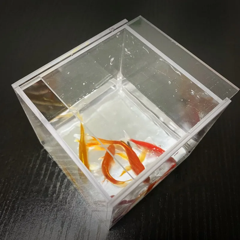 Mystic Aquarium von J.C Magic  – Aquarium Fish For Beginners Bewertung und Preis