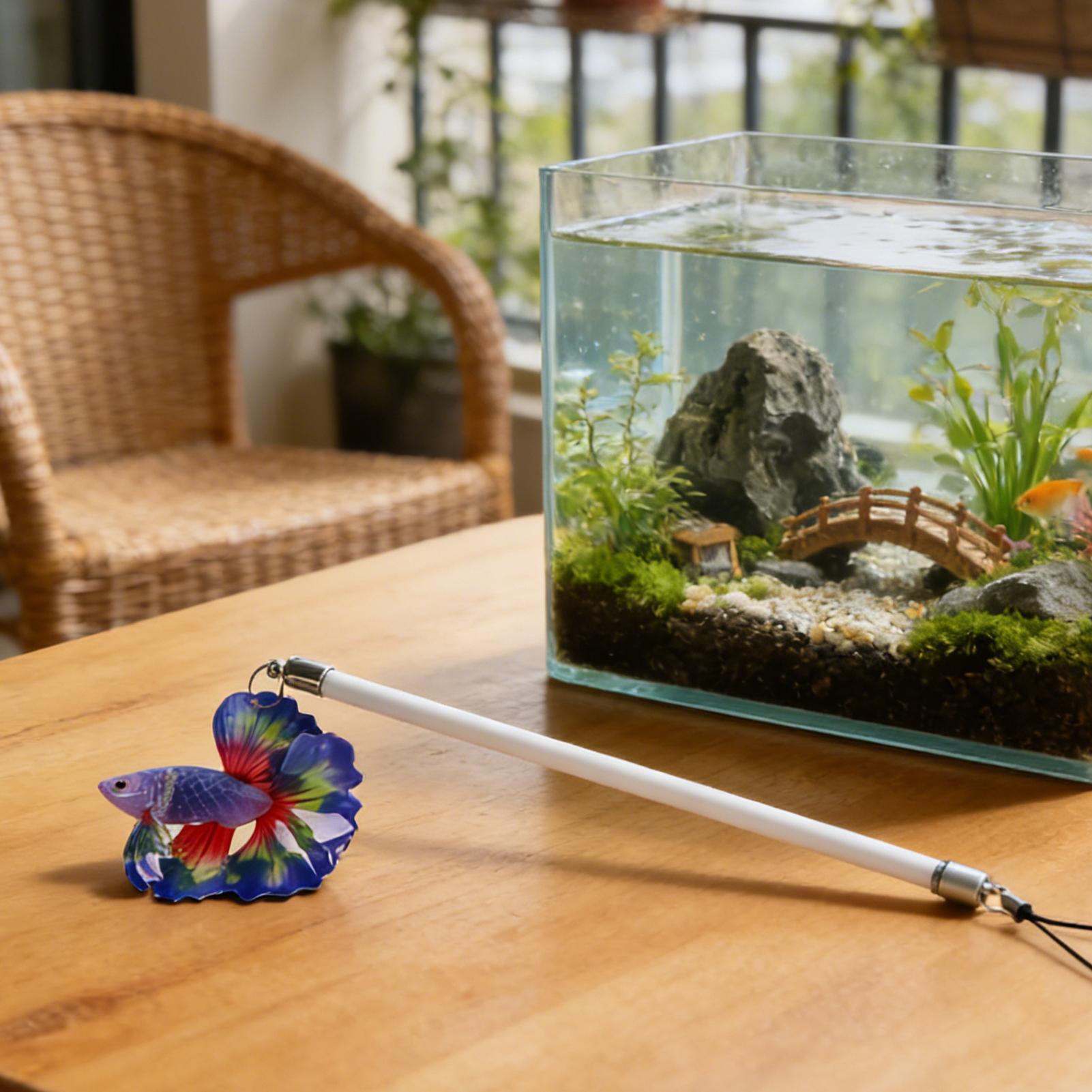 Fisch-Trainingsstab für Betta, – Aquarium Fish For Beginners Bewertung und Preis
