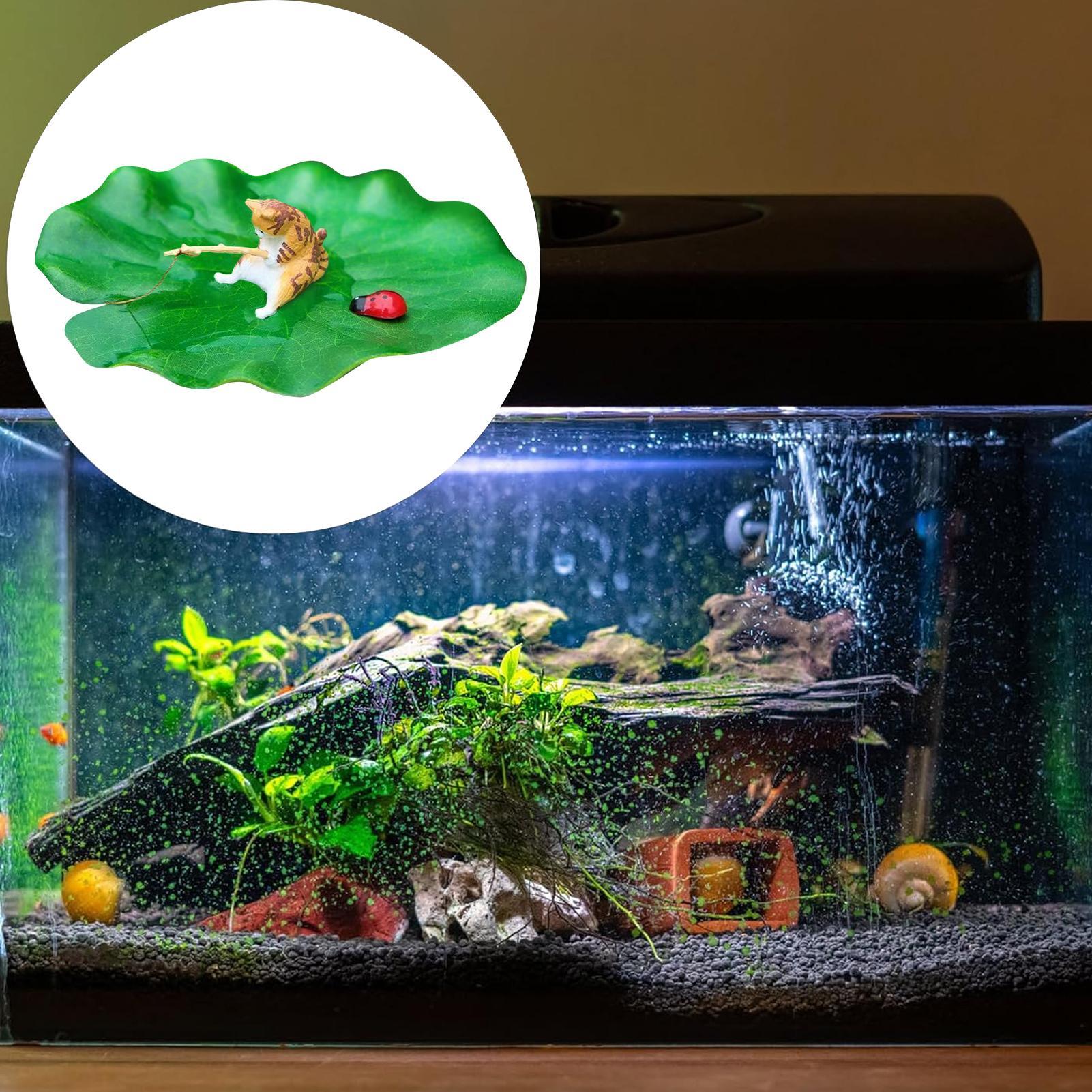 Aquarium-Dekoration: Schwimmen – Aquarium Fish For Beginners Bewertung und Preis