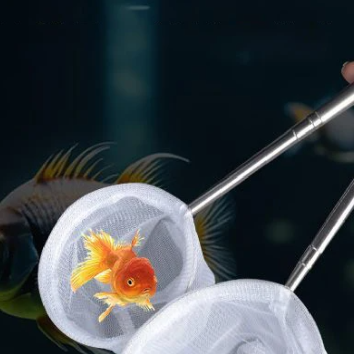 Aquarium Fischernetz Edelstahl – Aquarium Fish Net Small Bewertung und Preis