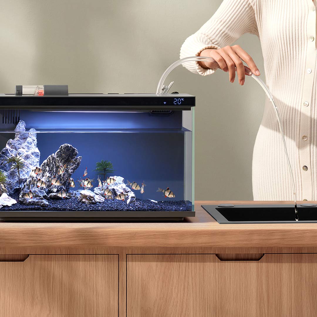 Xiaomi Mijia Smart Fish Tank M – Xiaomi Aquarium Fish Tank Bewertung und Preis