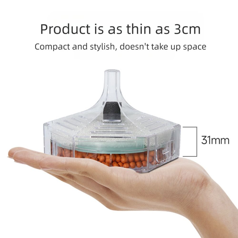 Neuer tragbarer Aquarium-Filte – Aquarium Fish For Beginners Bewertung und Preis